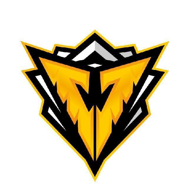 Vasta Gaming