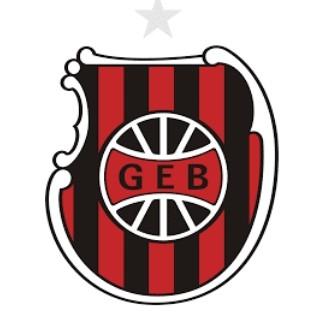 Brasil de Pelotas