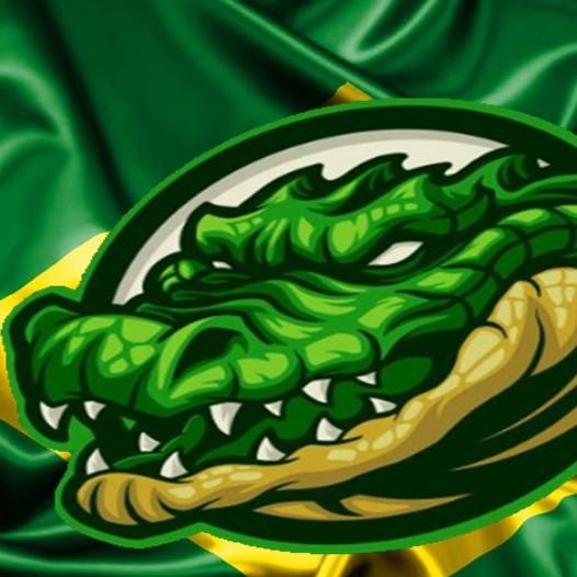 BRASIL C
