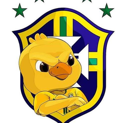 BRASIL B