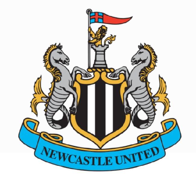 NEWCASTLE (juan c bocanegra))