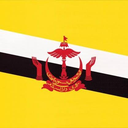 Brunei DS