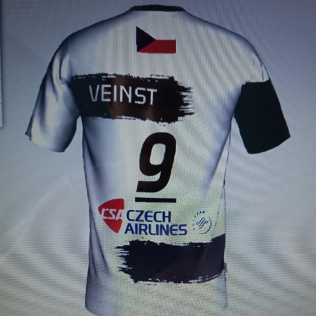 Veinst