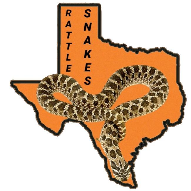 Texas RattleSnakes