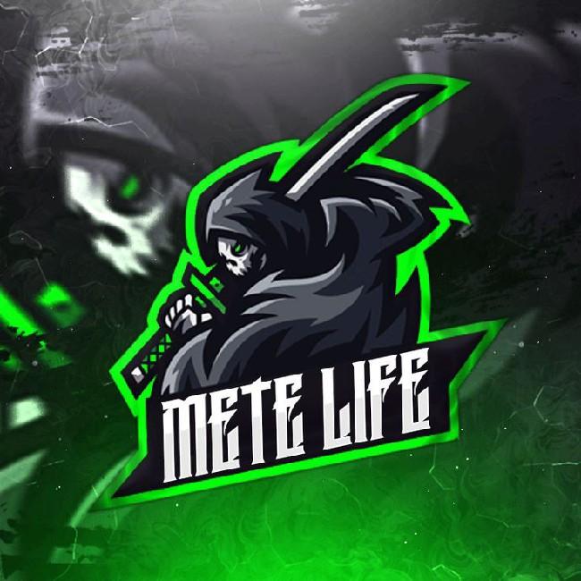 METE LIFE
