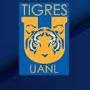 Tigres