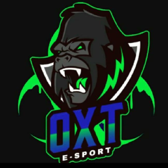 Oxenté team