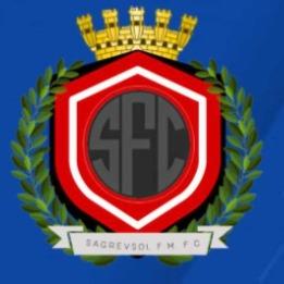 TOBYS FC