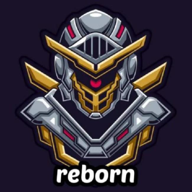 Vanguard Reborn