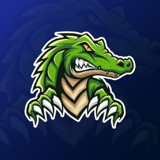 Boya Esport