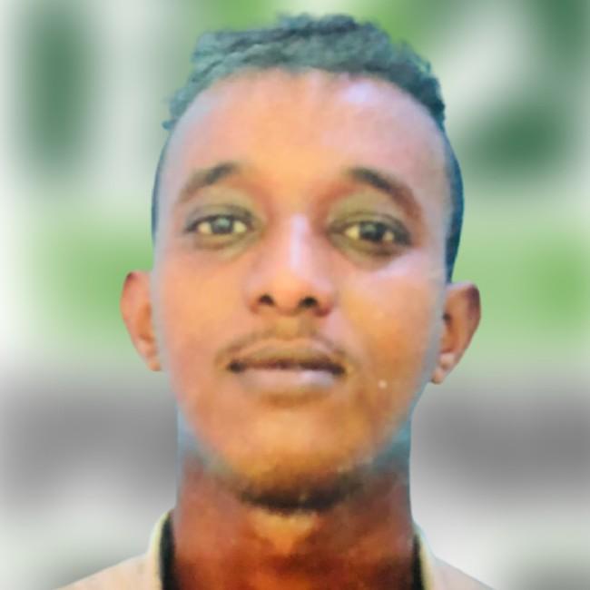 Ali Abdinasir