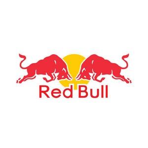 RICCIARDO Daniel