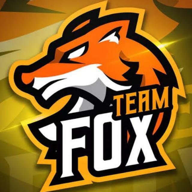 TEAM FOX