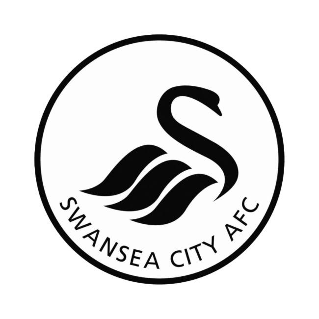 Swansea City