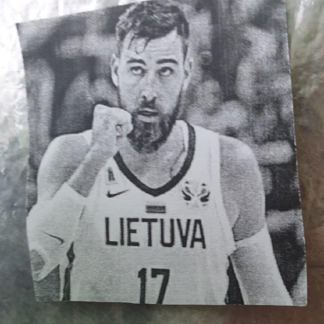 Valančiūnas rinkti