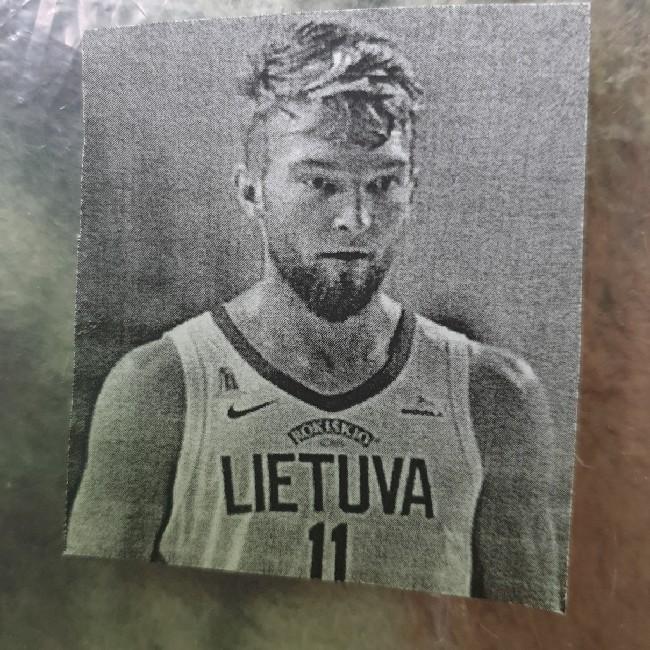 Domantas sabonis rinkti