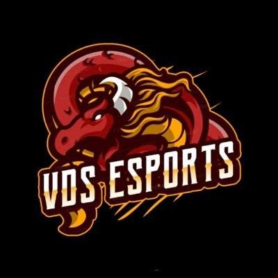 VDS Esports