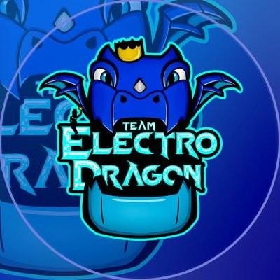 Team Electrodragon