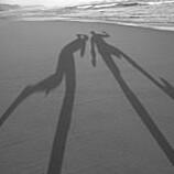 Shadow