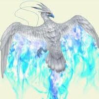 Fênix