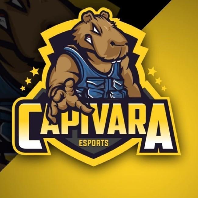 Capivara eSports