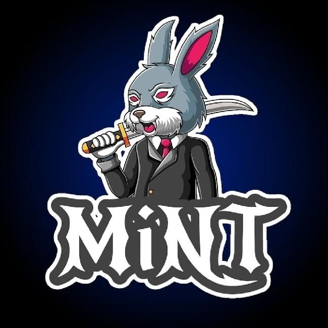 Mint.ps4