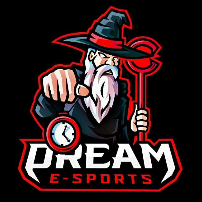 DREAM E-SPORTS