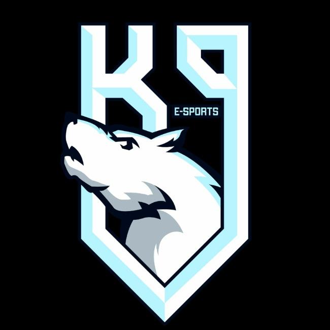K9 E-SPORTS