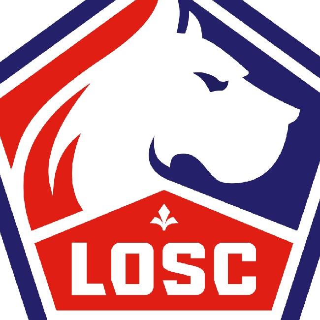 Lille (Fabs)