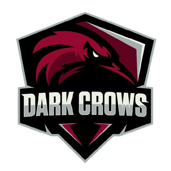 Dark Crowns Academy