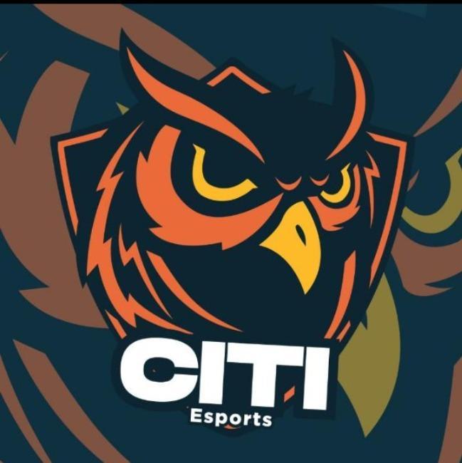 CITI E-SPORTS
