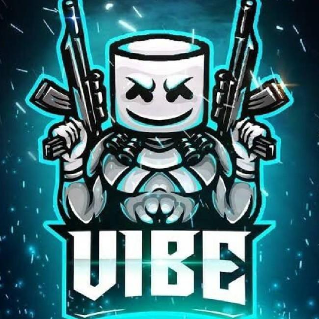 Team Vibe