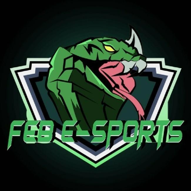 FEB e-Esports