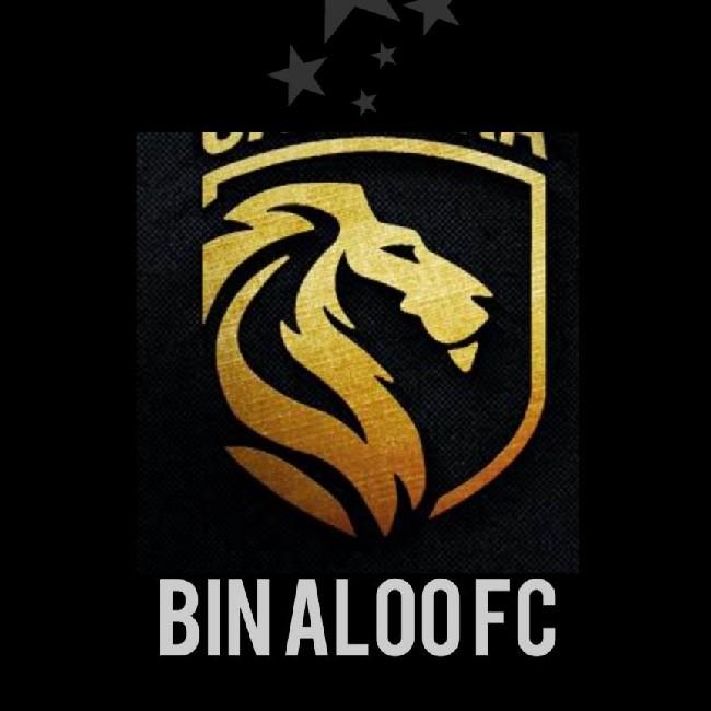 Bin Aloo FC