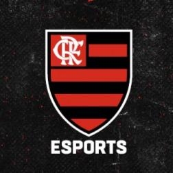 F-LAMENGO ESPORTS