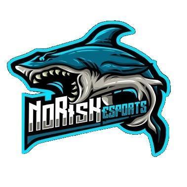 NoRisK Esports