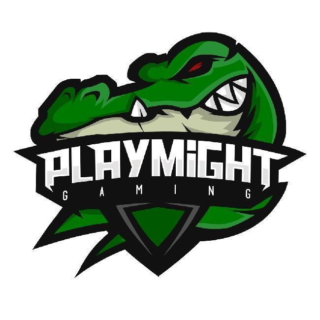 PlayMight Gaming