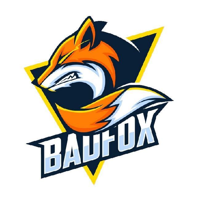 Bad Fox