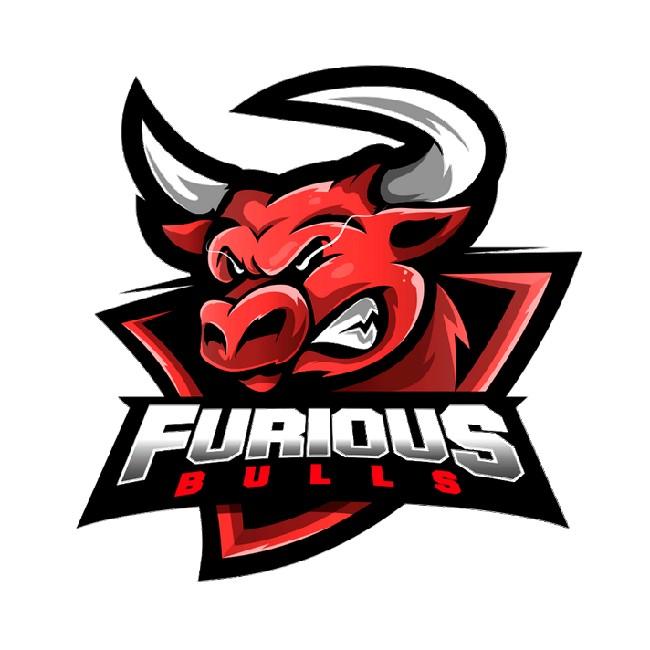 Furious Bulls