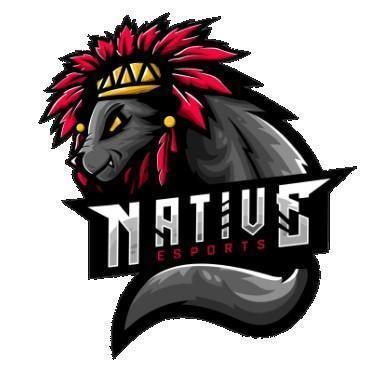 Native Esports