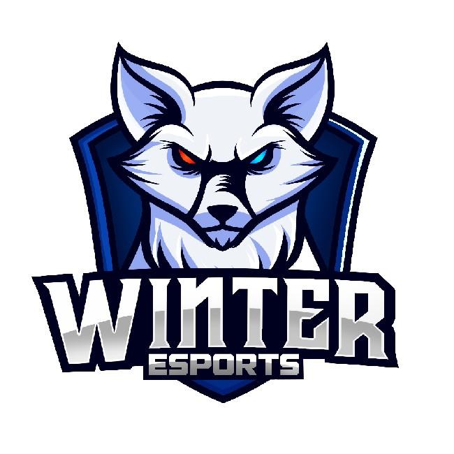 Winter Esports