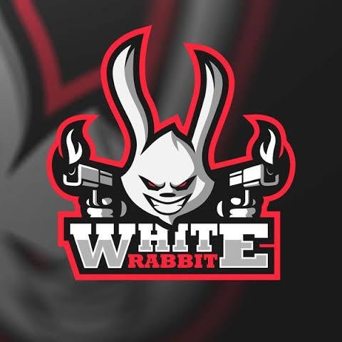 WHITE RABBITS ESPORT