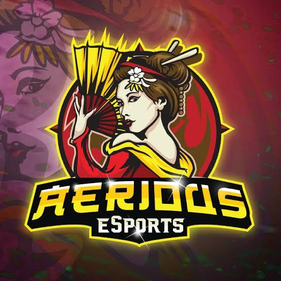 AERIDOUS ESPORT