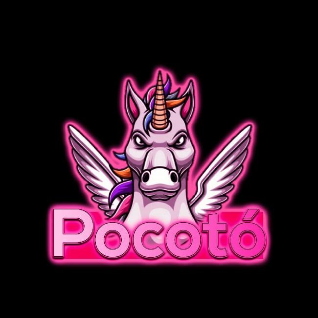 Pocotó