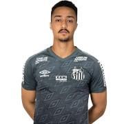 (G) Paulo Mazotti