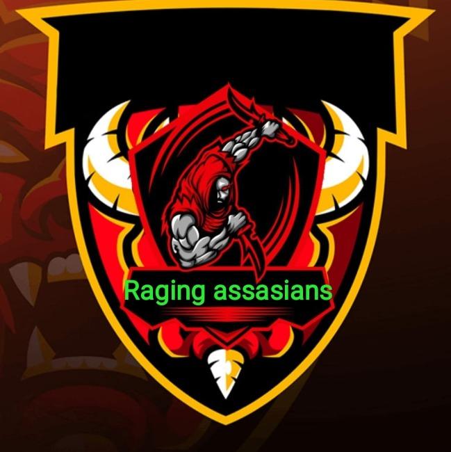Raging Assasians