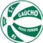 PASSO FUNDO RS