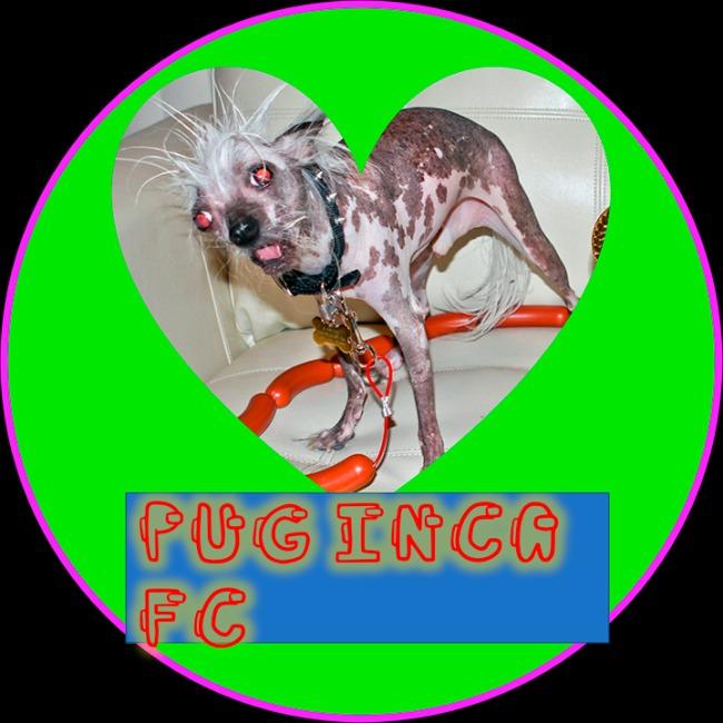 Pug Inca FC