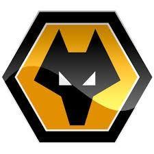 WOLVES FC