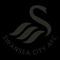 Swansea City